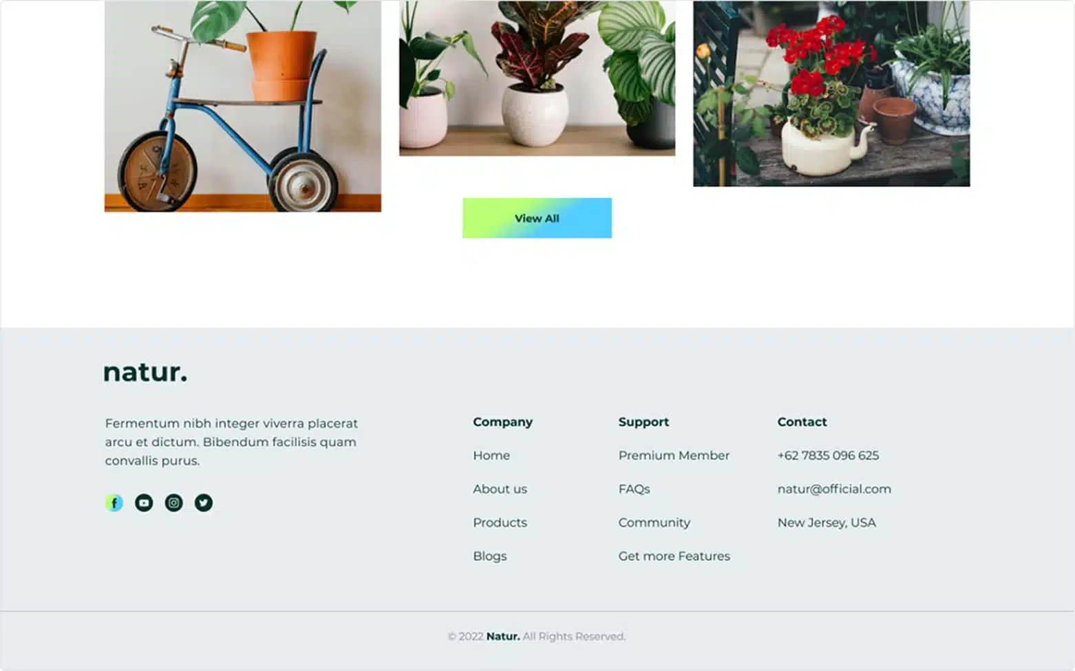 Plant Shop 10