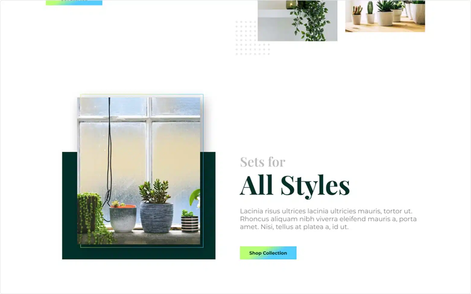 Plant Shop 8